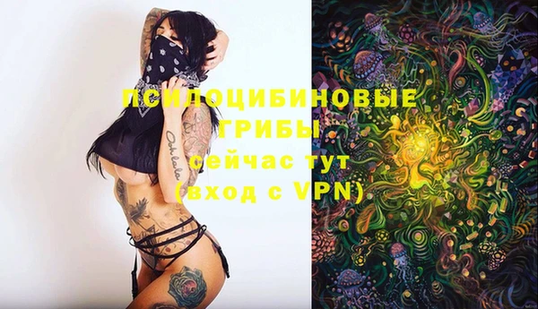 спиды Навашино