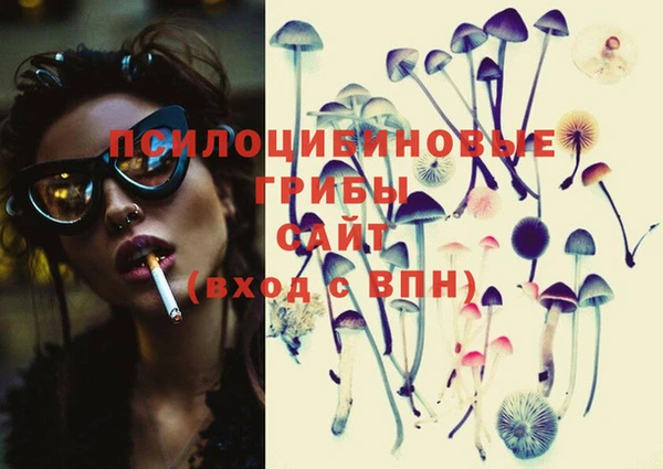 2c-b Надым