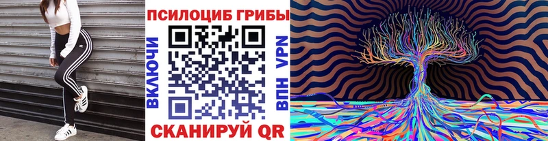 Галлюциногенные грибы Psilocybine cubensis  Купить где  Калтан 