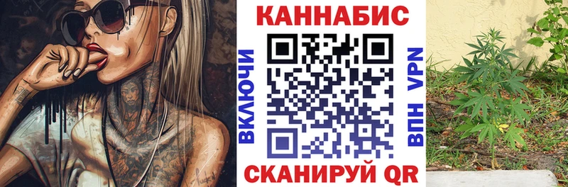Каннабис планчик Калтан